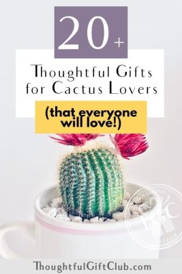 202B perfect gifts for cactus lovers 28that are thoughtful pricks2129 sltbd2