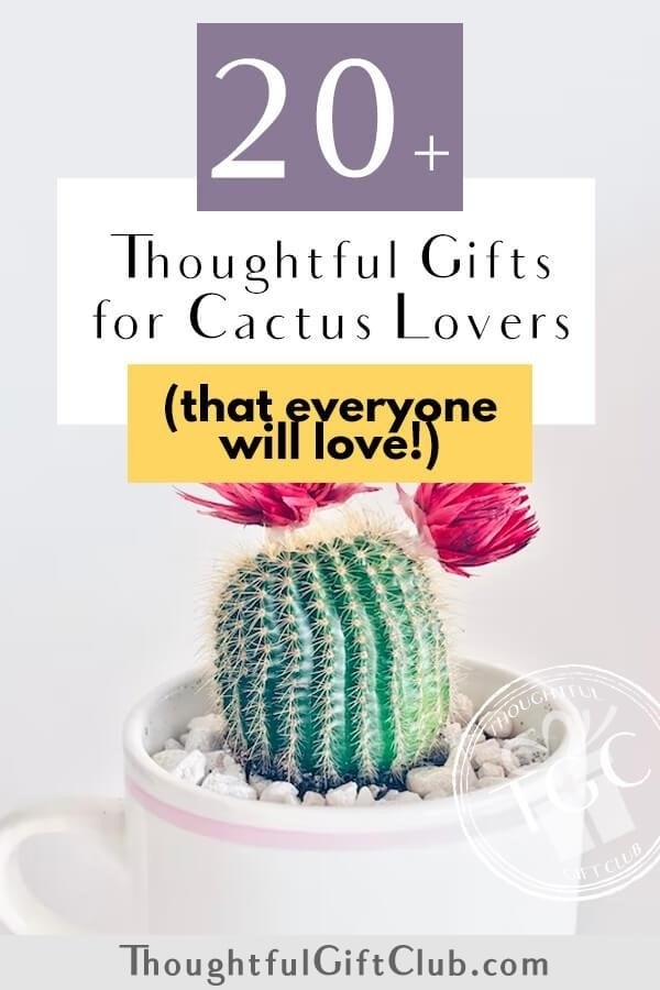 20+ Perfect Gifts for Cactus Lovers (That Are Thoughtful Pricks!)